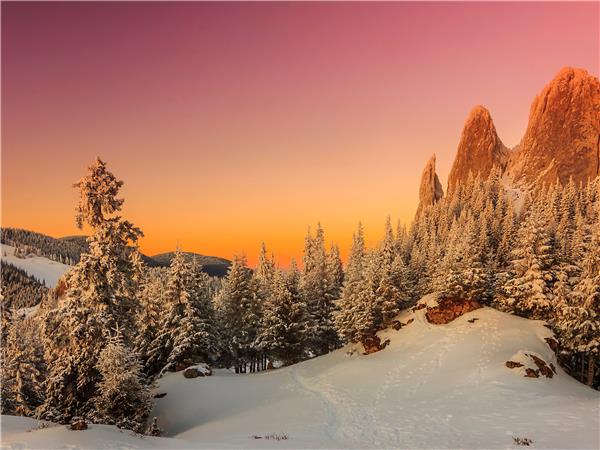 Transylvania winter walking & snowshoeing holiday