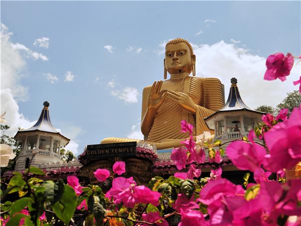 Sri Lanka culture and wildlife in comfort