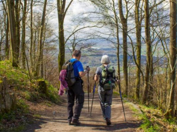 Germany walking holiday, Rhine River & Castles Walk