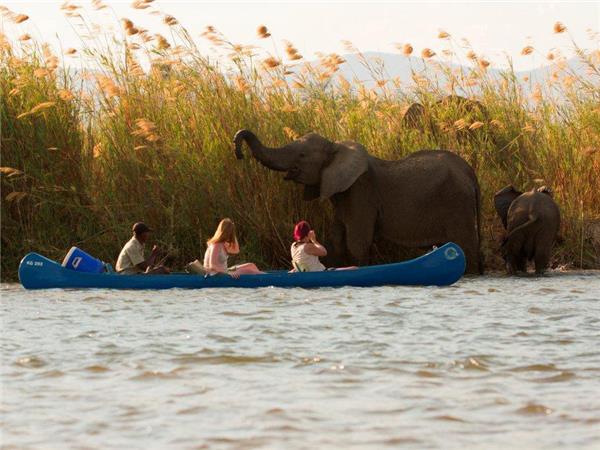 Zambezi canoe safari, Zambia