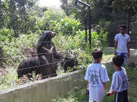 Free The Bears Wildlife Center