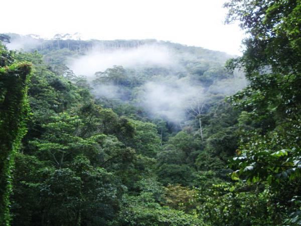 Papua New Guinea holiday, The Kokoda Trail