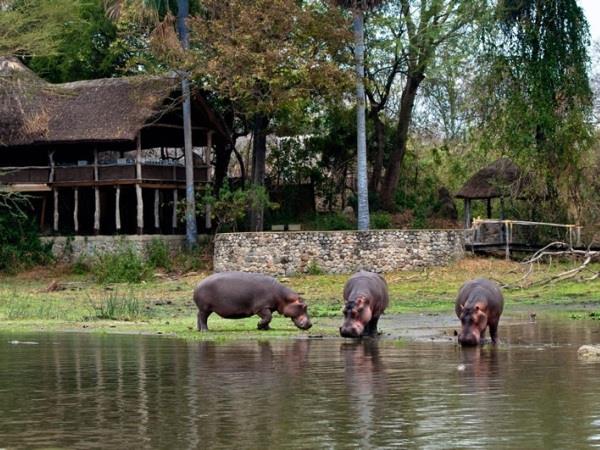 Malawi luxury holiday