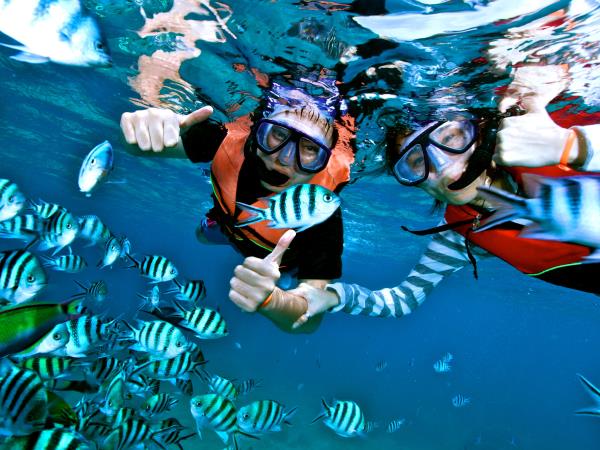 Tanzania safari and Zanzibar beach holiday