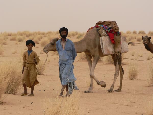 Timbuktu festival tour, Mali
