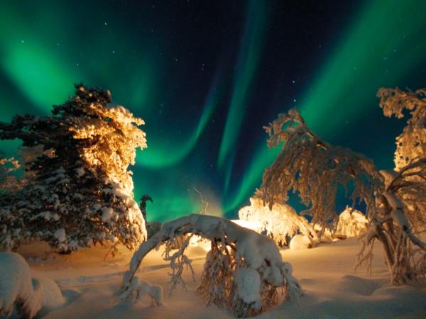 Christmas or New Year 2025  in Lapland