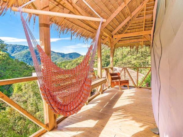 Costa Rica wildlife tour