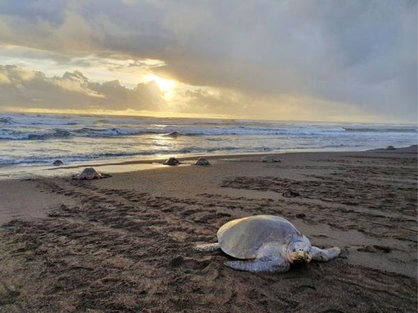 Costa Rica and Panama holiday