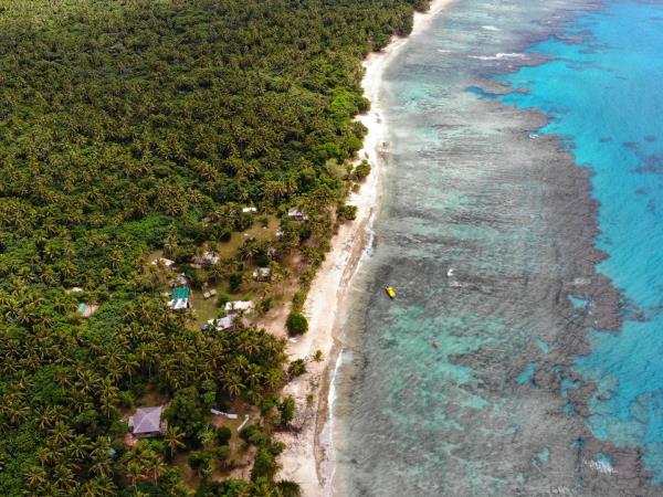 Budget Tonga holiday, swim with humpback whales