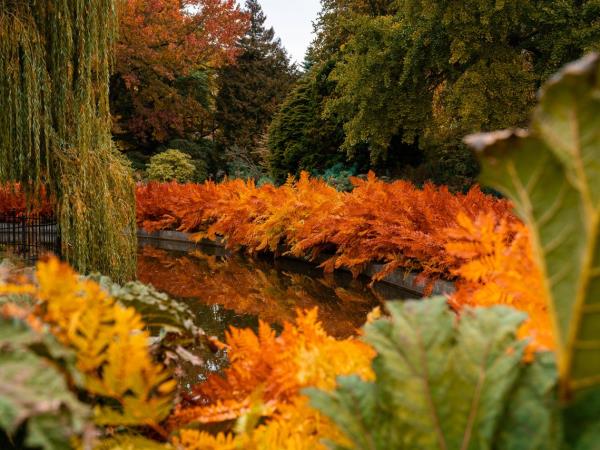 Autumn in Scandinavia holiday