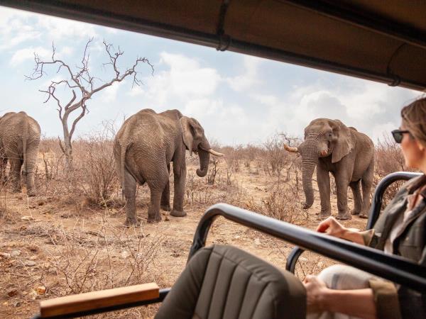 Family luxury safari & beach holiday, South Africa & Mozambique