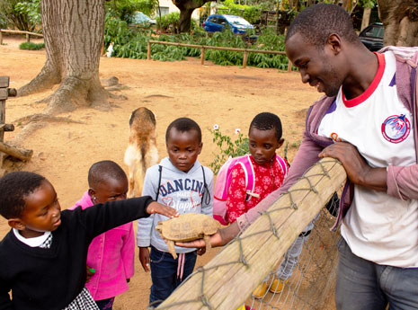 Nyanza Stables, Swaziland